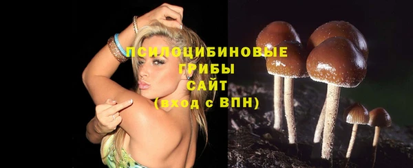 ALPHA-PVP Зеленокумск